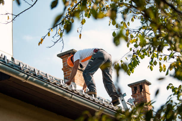 Best Steel Roofing  in Exmore, VA