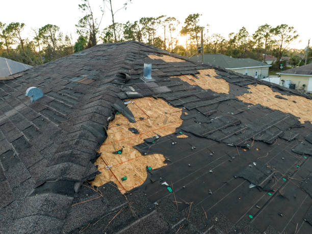Best Green or Eco-Friendly Roofing Solutions  in Exmore, VA